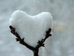 heart-shaped-snow